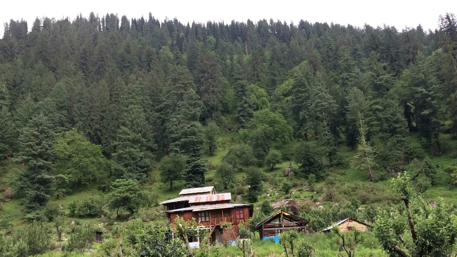 Kalga, Apple Orchards and Slow Mountain Life