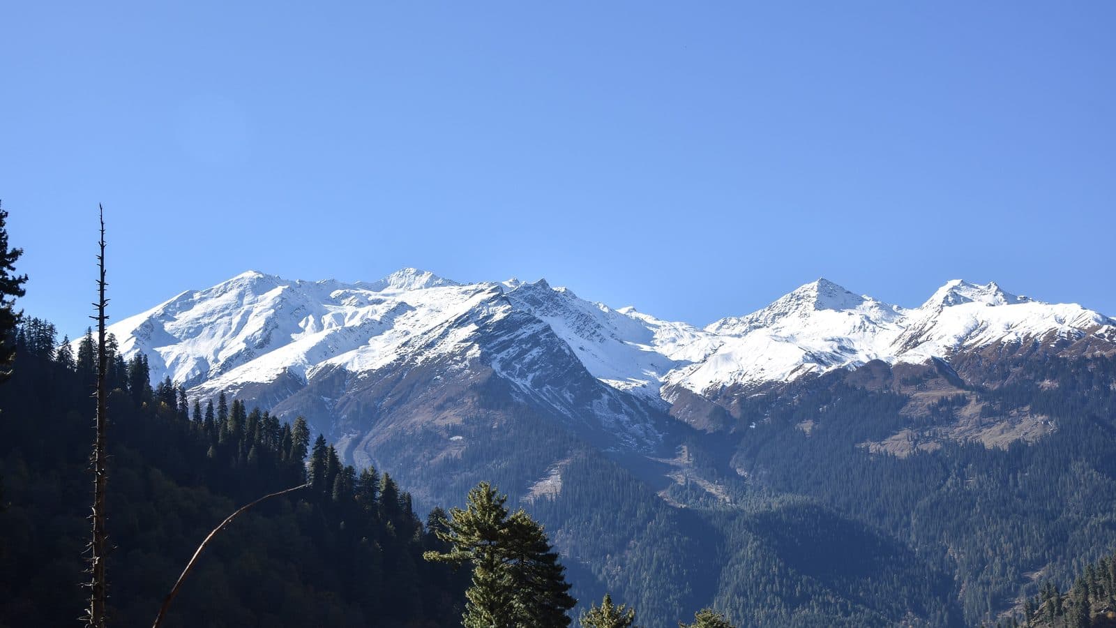 Waichin Valley, The High Meadow