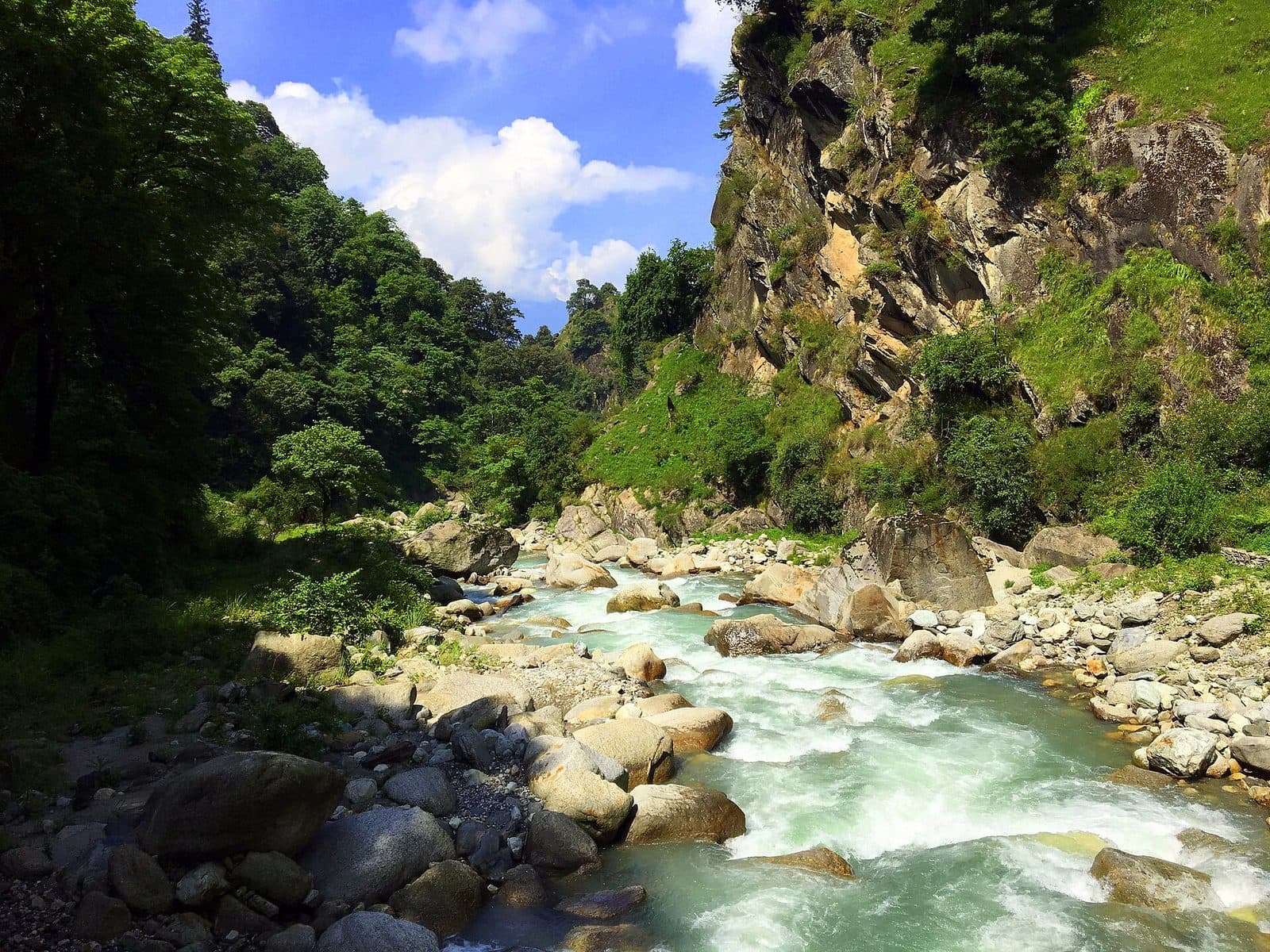 Tirthan: The Slow Valley Reflections